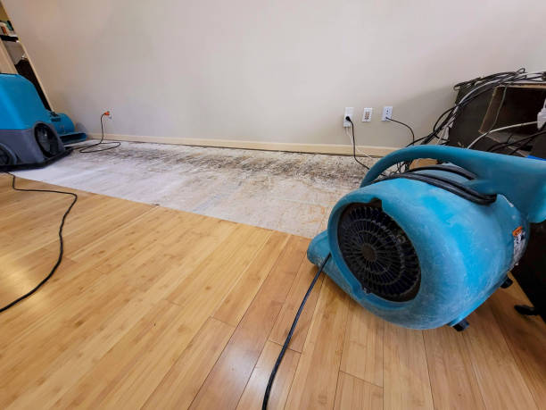 Professional Basement Flood Cleanup technician working in Spring, TX